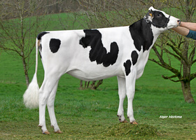 OFFELIA GD - Fille de MANAVA - M. Delahaut (08)