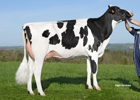 OBORN ETL MACY ETL TB 87, Mère