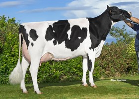 OBORN ETL HIADEME EX 91, 2ème Mère