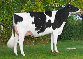 CAPJ Info (McCutchen), mère de CAPJ Marvin