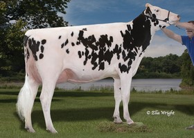 Rainyridge Mr Burns EARA TB 86 - 3ème Mère d'ALASKA RED
