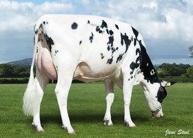 Longmoor DKR Ilary P TB 87 - Fille de SUPERSHOT