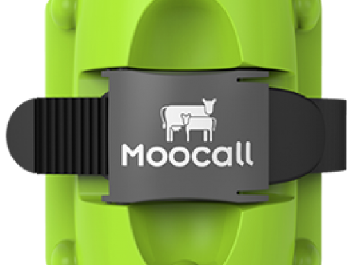 MOOCALL (détecteur de vélage)