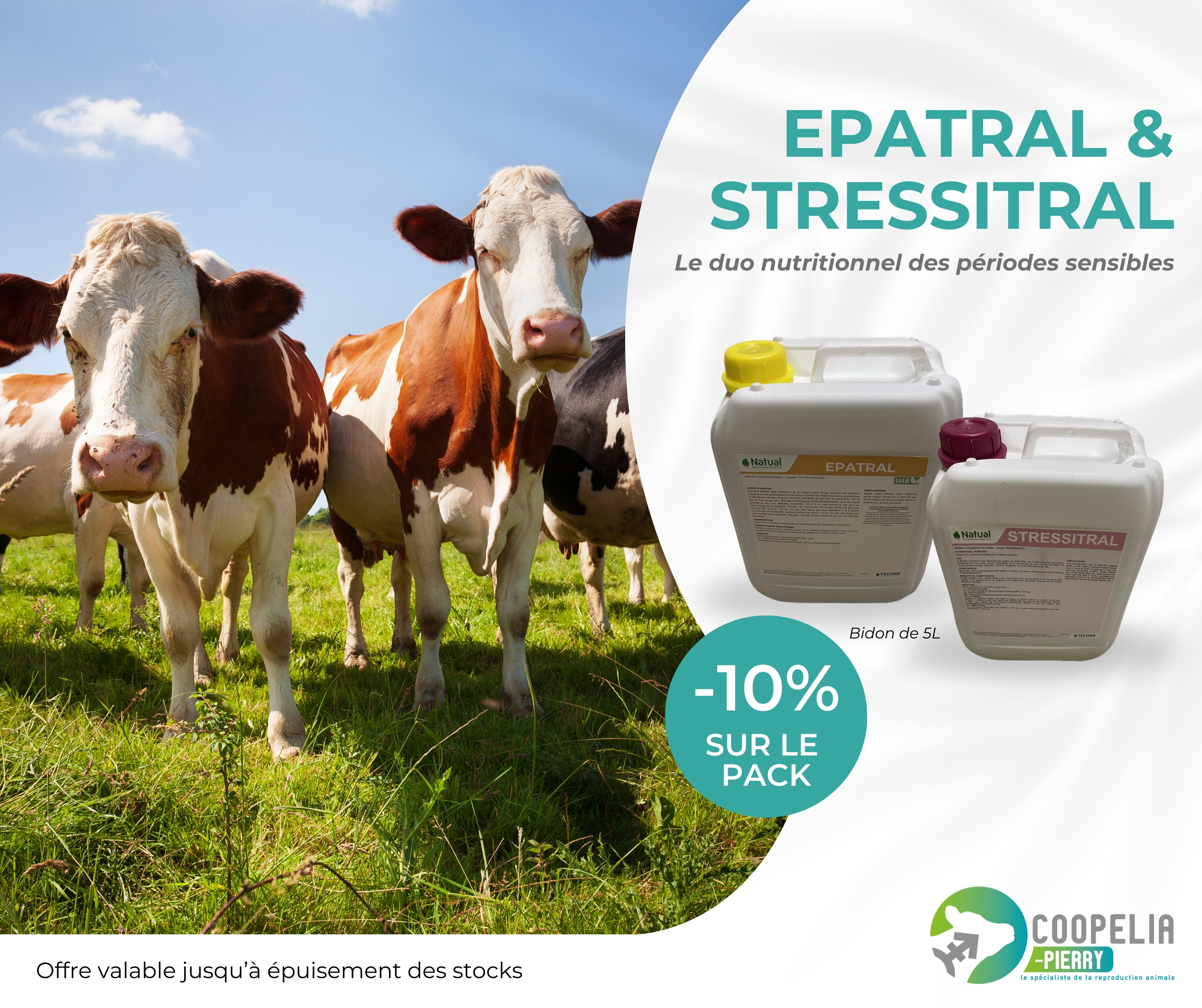 Offre –10 % sur le duo EPATRAL STRESSITRAL pour accompagner les périodes sensibles des bovins