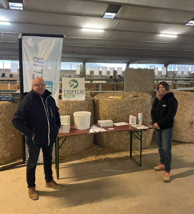 Stand Coopélia installé dans un bâtiment d’élevage, avec deux représentants de la coopérative debout de part et d’autre d’une table présentant de la documentation et des produits, des balles de paille et des animaux visibles à l’arrière-plan lors de la 44ᵉ vente de reproducteurs charolais à Sommepy-Tahure (51)